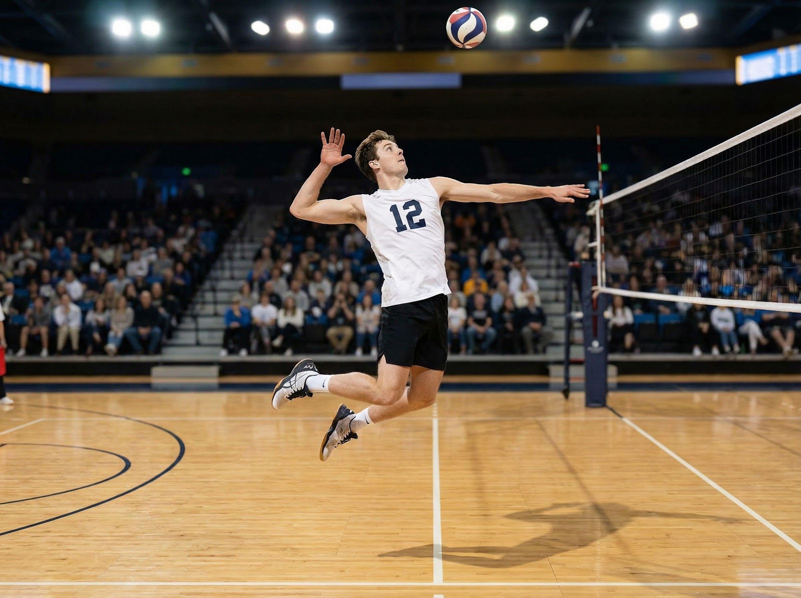 Top 12 Volleyball Jersey Numbers: Icons, Stats, and More