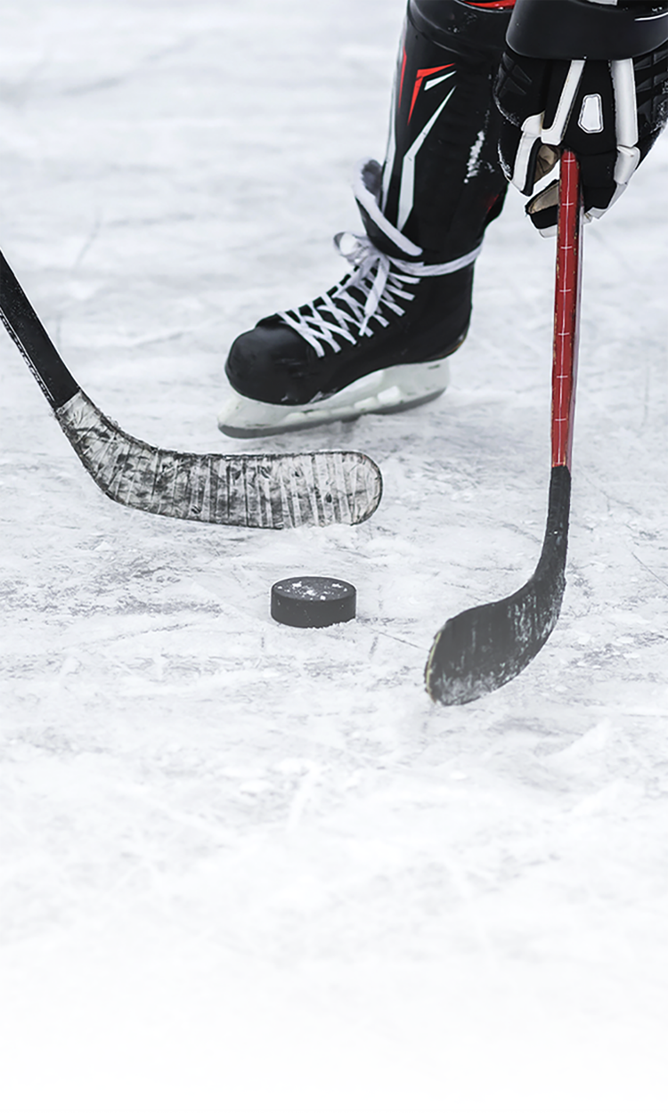 XbotGo: AI Auto Tracking Solution 
for Ice Hockey