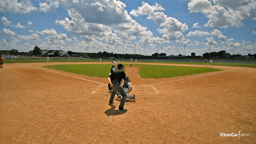 Falcon recording a sports field