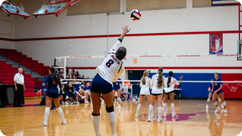 Volleyball