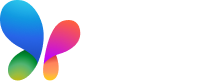 msn