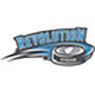 Central Illinois Girls Hockey Association