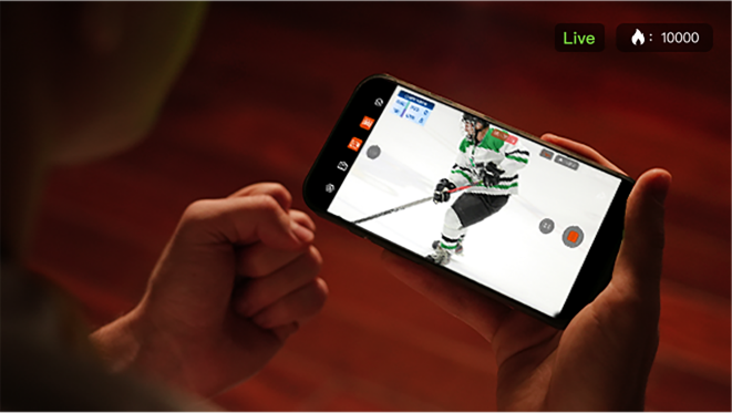 Easy Live Streaming for Every Game