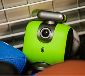 Multiple Sports Support